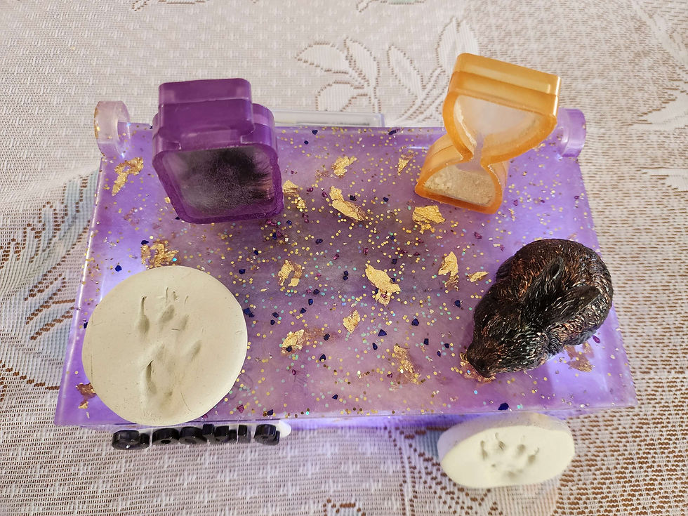 Thumbnail: RC57 Cookie's Memorial & Ashes Storage Box