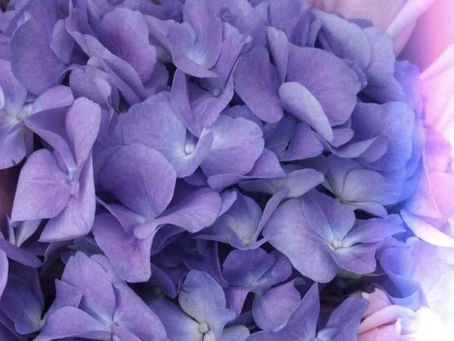 Out With The Old -- In With The New