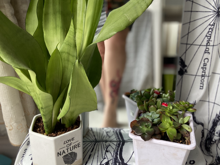 Marinate in Gratitude