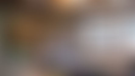 Lanier Creek House Construction Progress