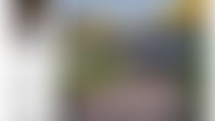 Lake Martin Magazine Article