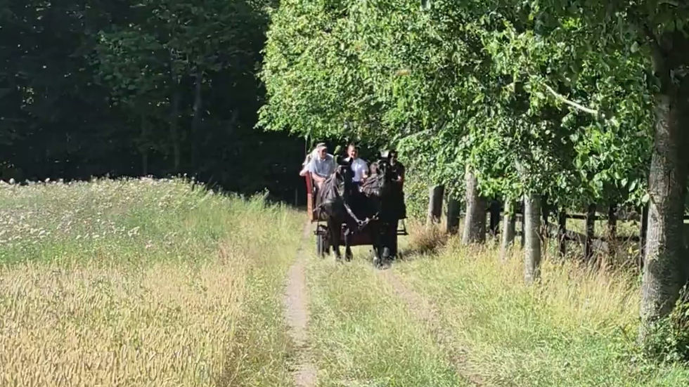 mikkelsen_skovtur.mp4