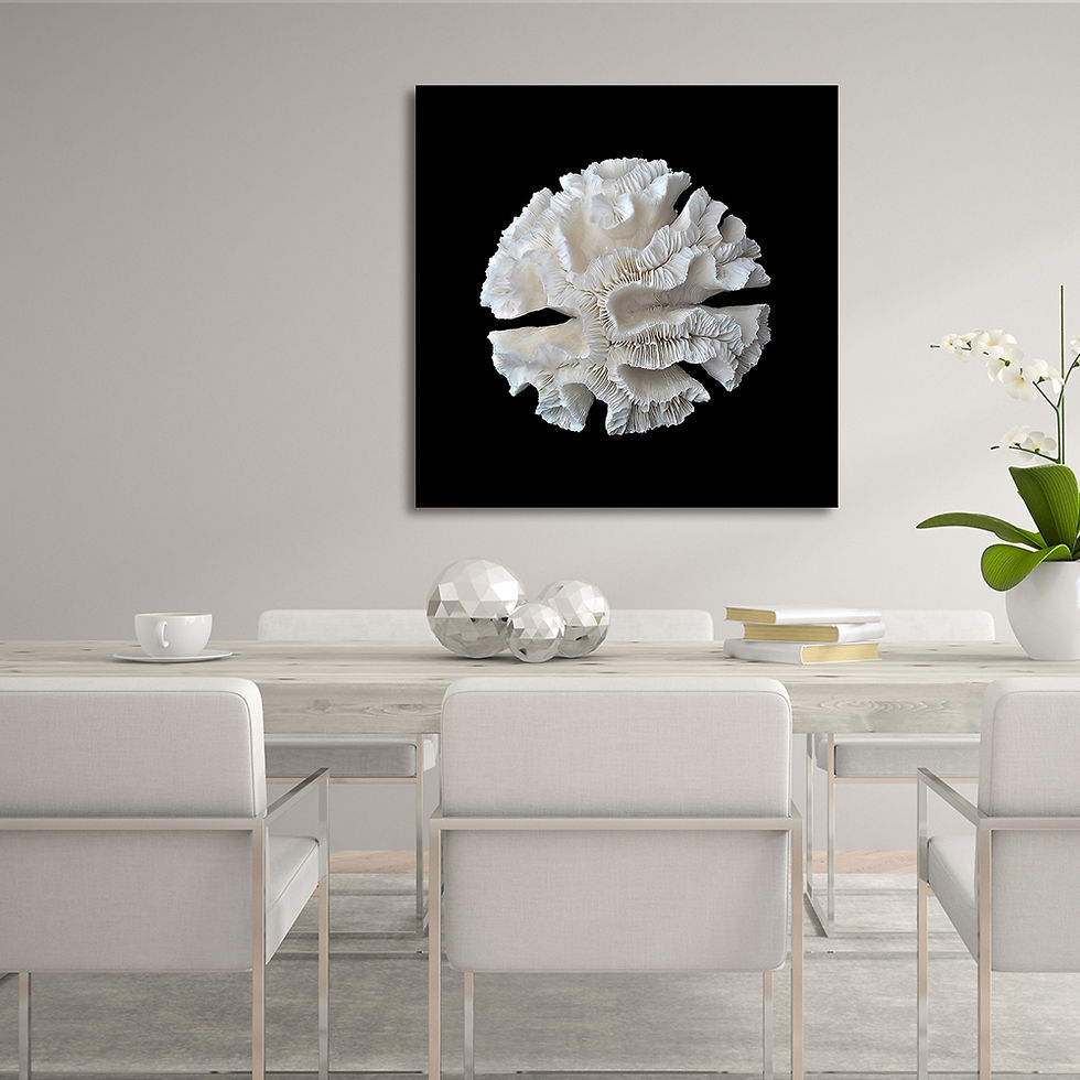 Thumbnail: White Coral I  (A)