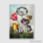 ภาพขนาดย่อ: Tulips from The Temple of Flora (D)