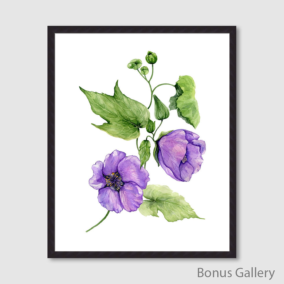 Thumbnail: Beautiful purple abutilon flowers (E)