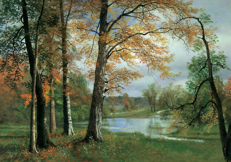 ภาพขนาดย่อ: A Quiet Pond (D)