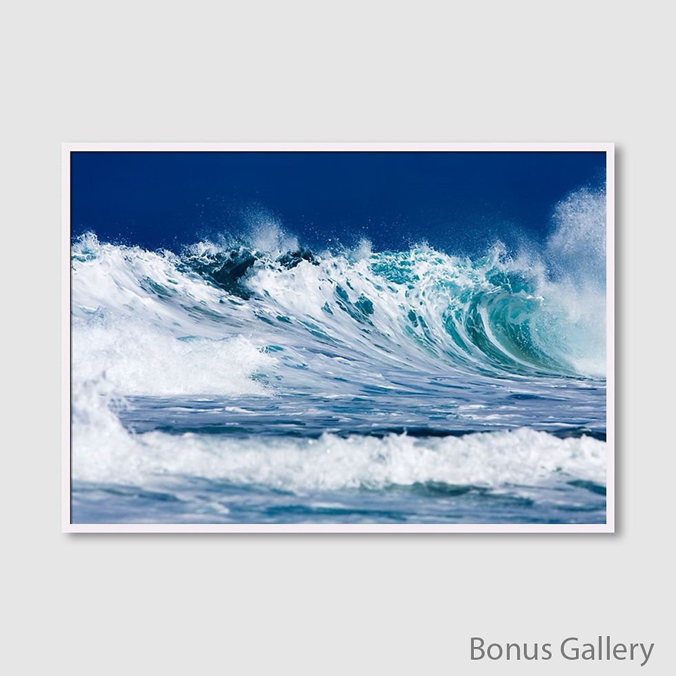 Thumbnail: North Shore (D)