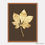 ภาพขนาดย่อ: Meaning of Golden Leaves (E)