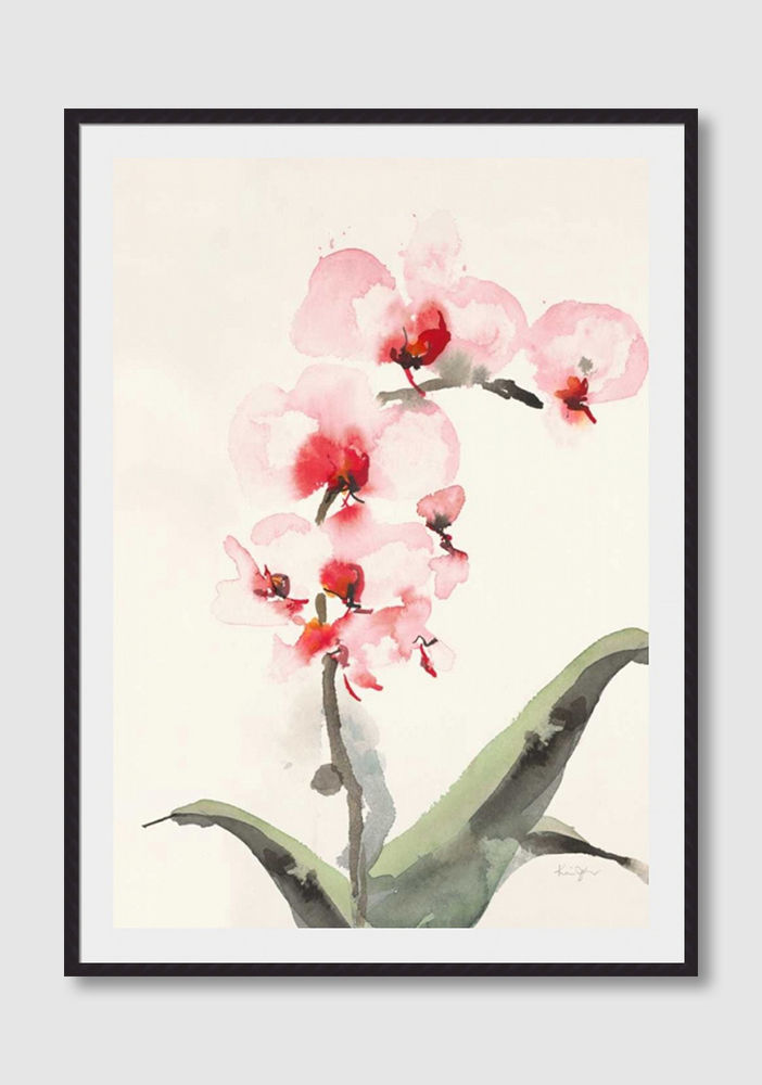 Thumbnail: Morning Orchid 2 (D)