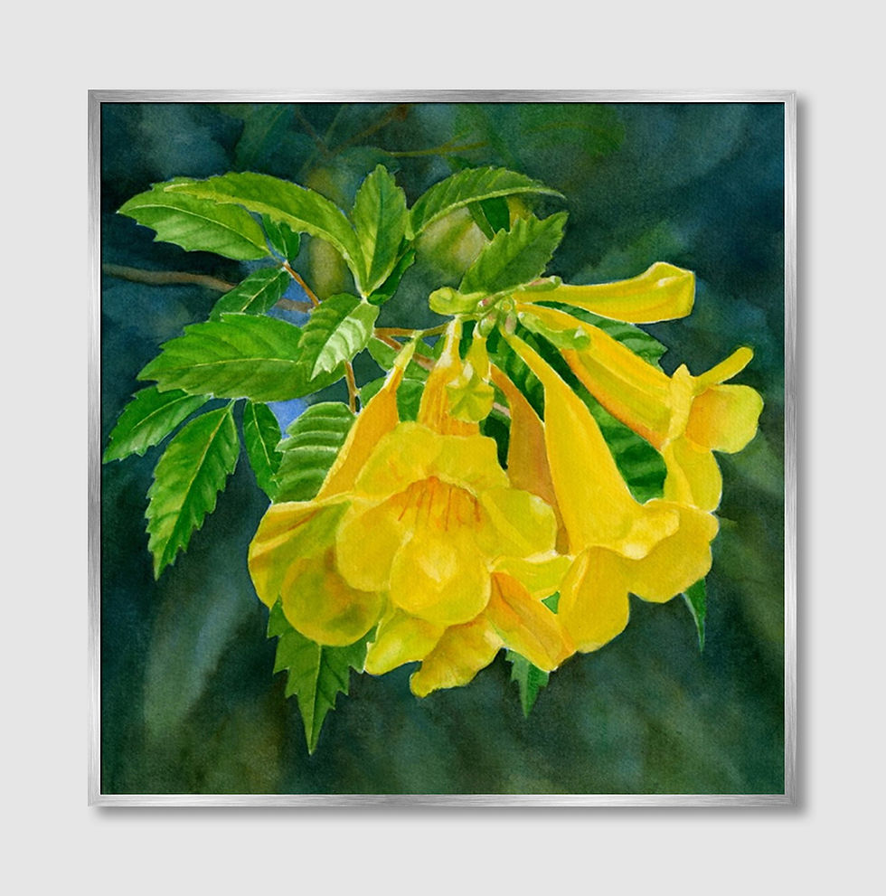 Thumbnail: Beauty of Nature No.114 (A)