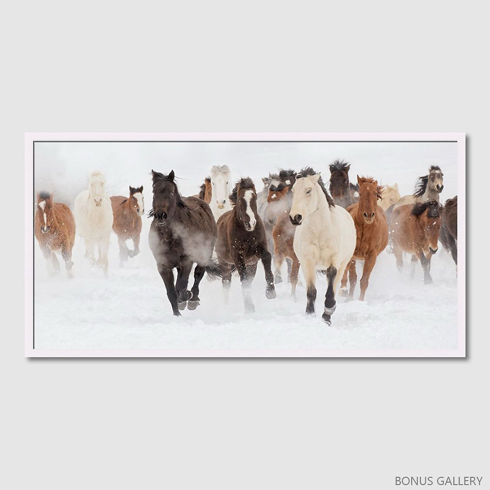 Thumbnail: Pasture Run (B)