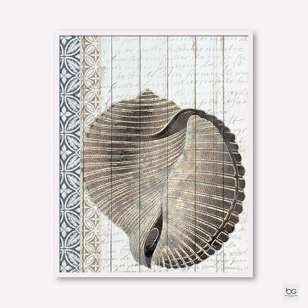 ภาพขนาดย่อ: Shells 1 (F)