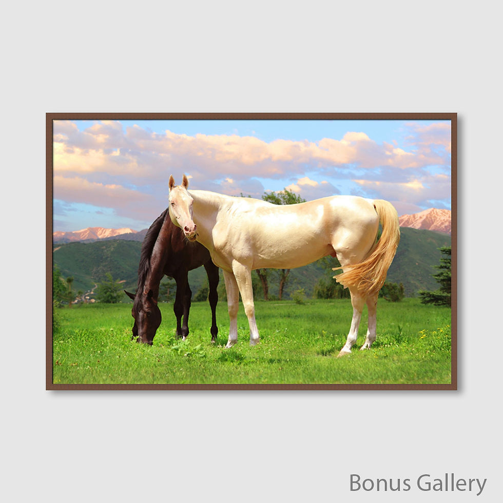 Thumbnail: Horse Lovers (D)