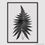 ภาพขนาดย่อ: Fern Black Poster (E)