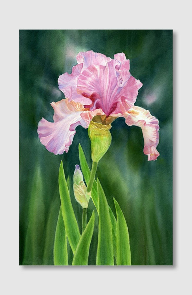 Thumbnail: Beauty of Nature No. 133 (D)