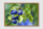 ภาพขนาดย่อ: Beauty of Nature No. 121 (D)