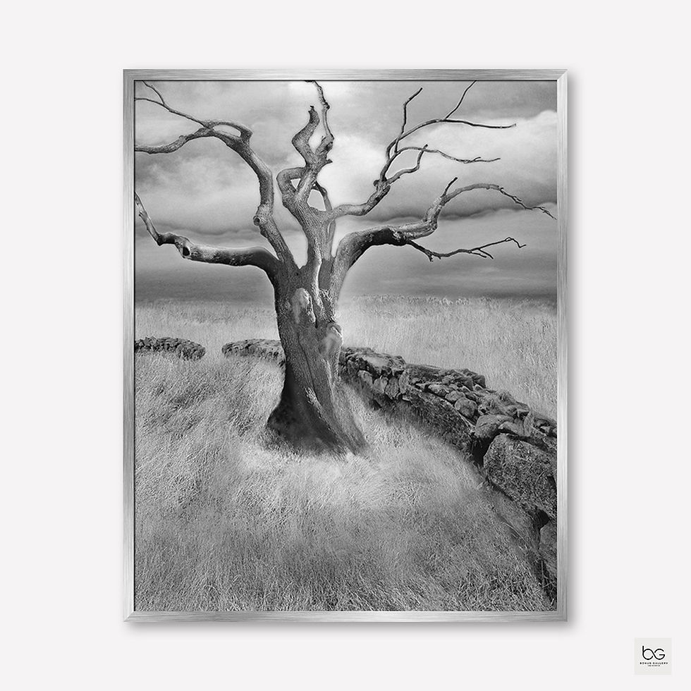 Thumbnail: The Meadow (F)