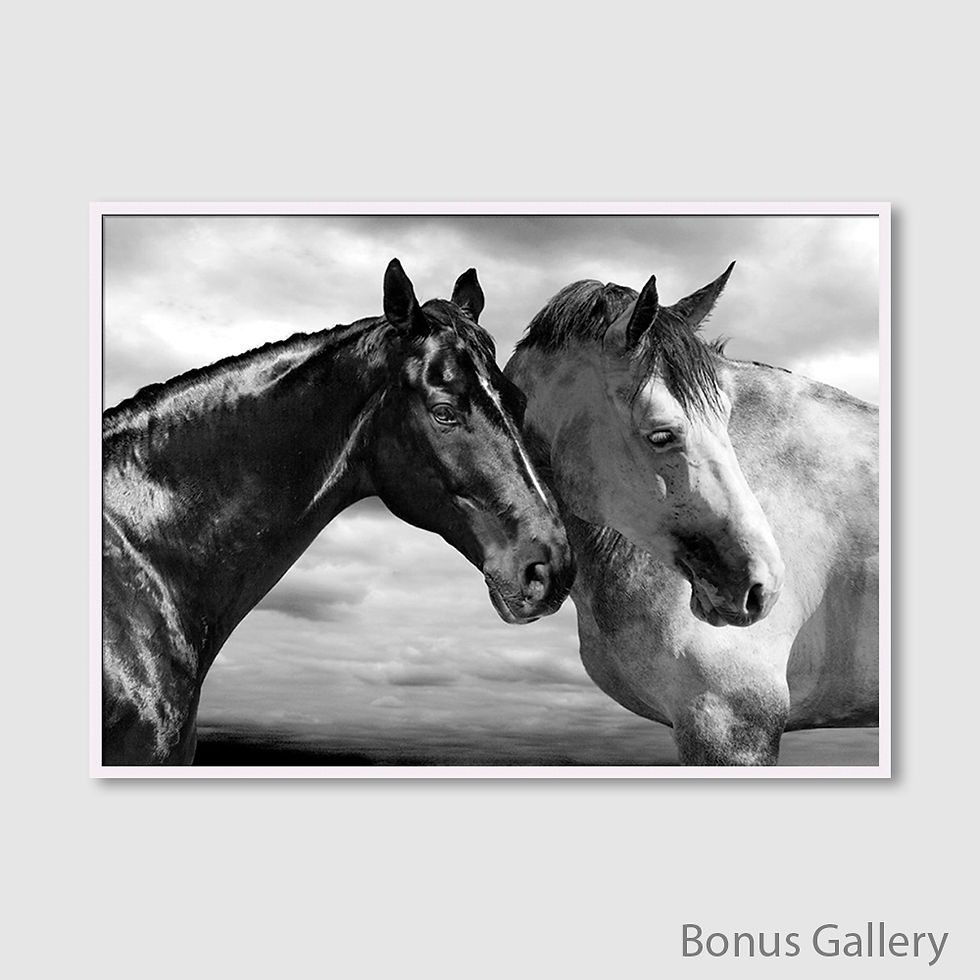 Thumbnail: Horse Portrait (D)