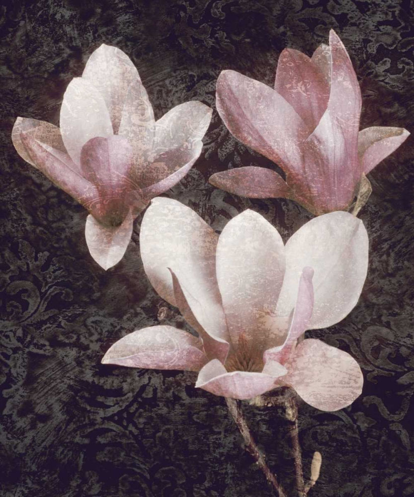 Thumbnail: Pink Magnolias II (F)