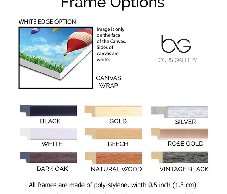 ภาพขนาดย่อ: Abstract Black & White Painting (G)