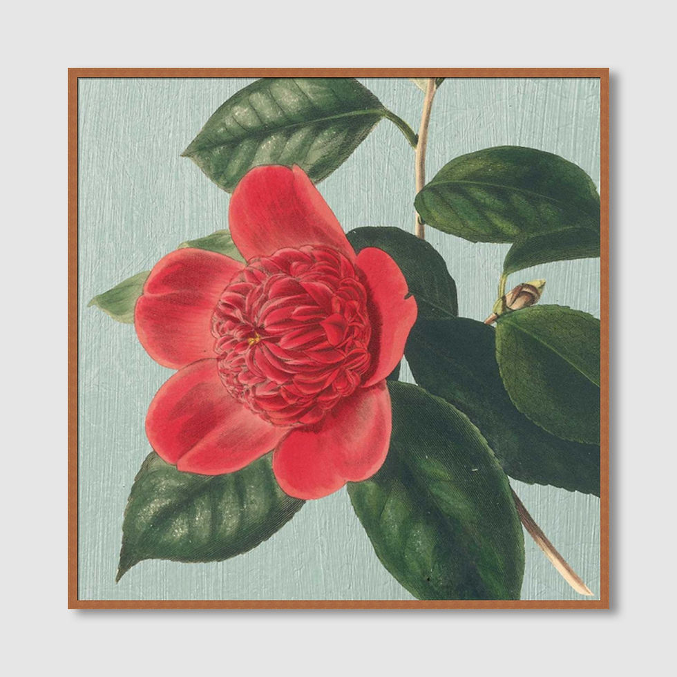 ภาพขนาดย่อ: Peony (A)