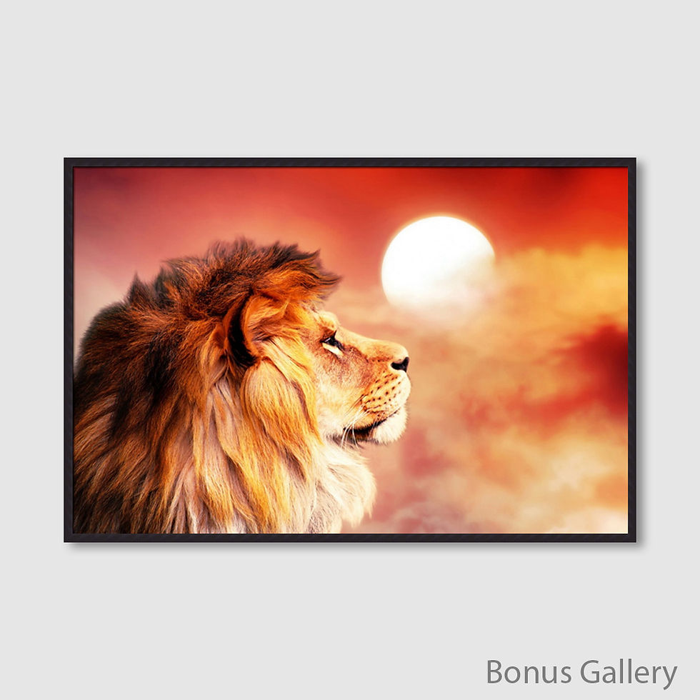 Thumbnail: Lion King  (D)