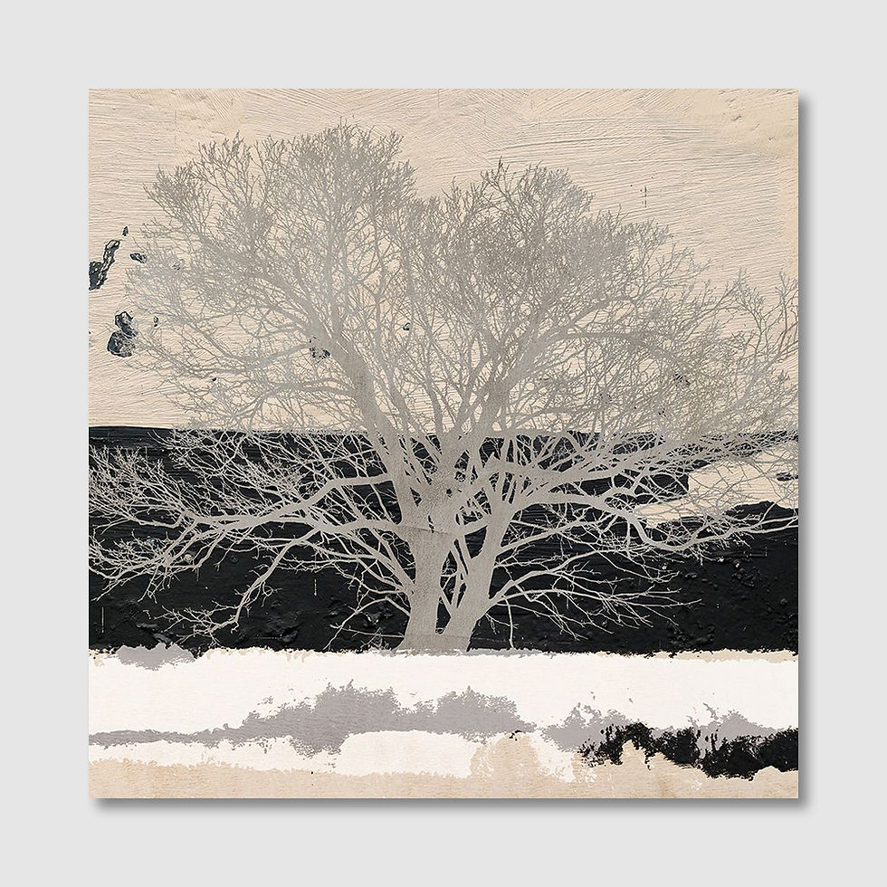 Thumbnail: Silver Tree (A)