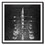 Thumbnail: Rowing Boat in Racing Black & White (A)