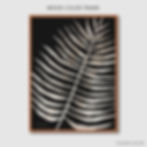 Thumbnail: Palm Wood Stain No.1 (E) 65_CIN1539