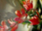 Thumbnail: Shades of Holland (E)