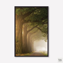 16_POD1622_W3.jpg