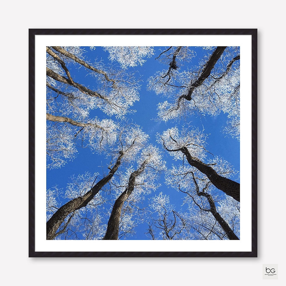 Thumbnail: Reaching Skyward (A)