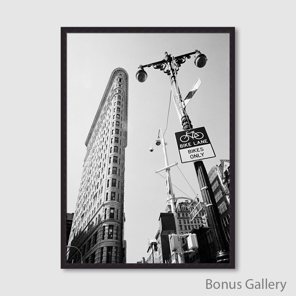 New York Flatiron II (D)