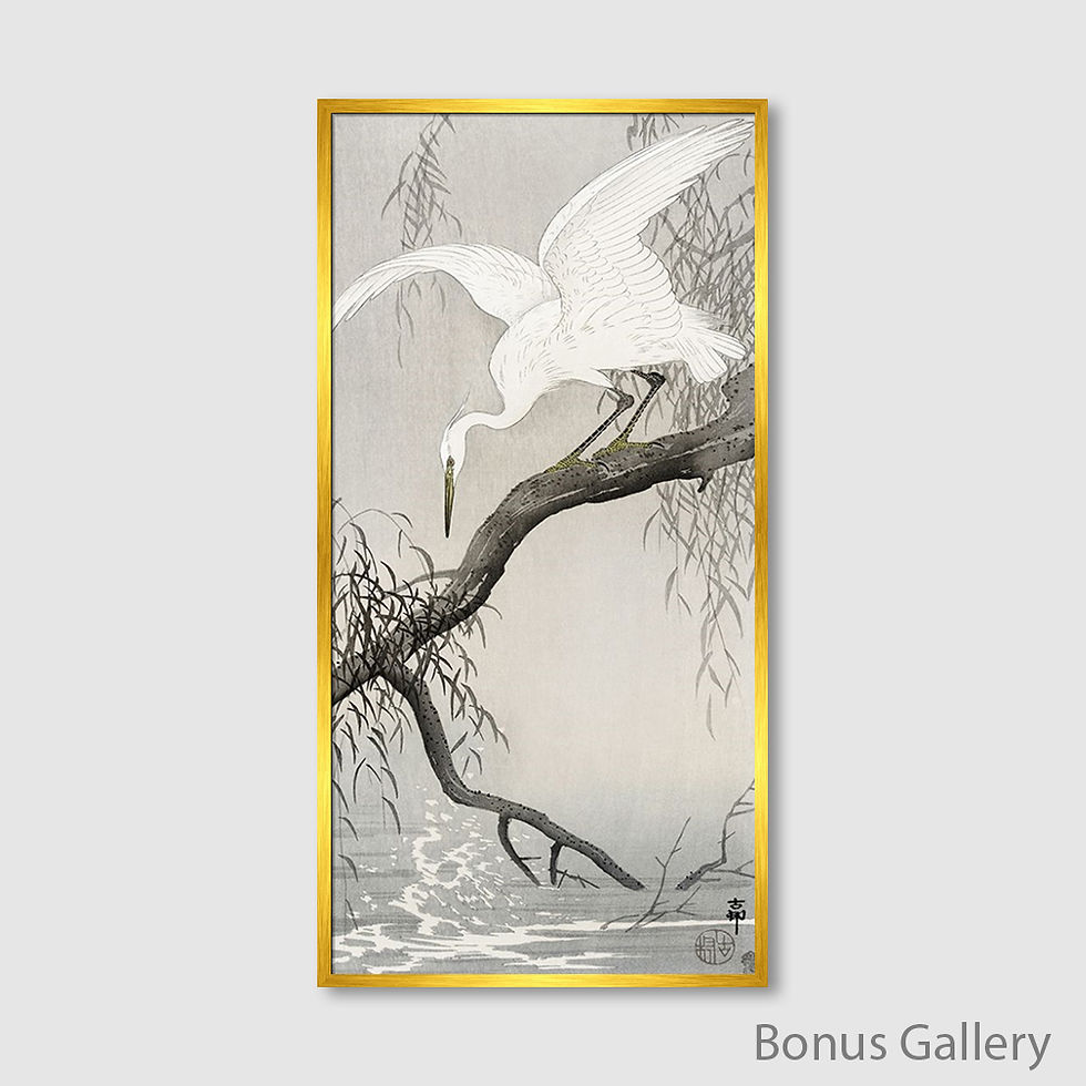 ภาพขนาดย่อ: White heron on tree branch (B)
