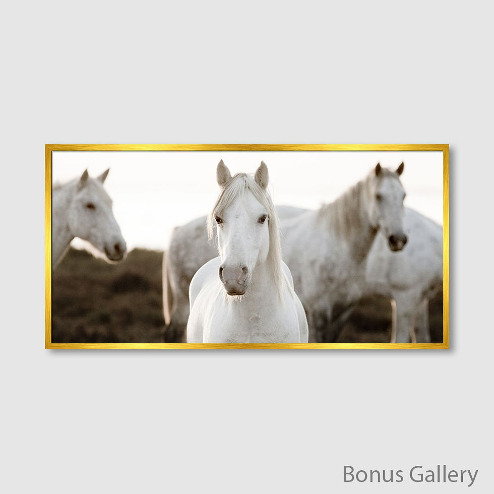 ภาพขนาดย่อ: Horse Meeting (B)