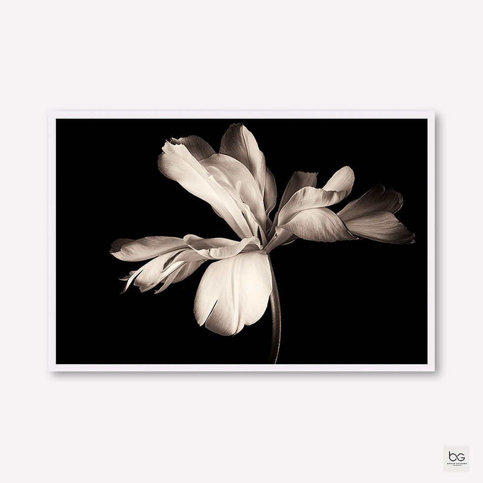 ภาพขนาดย่อ: Untitled (D)