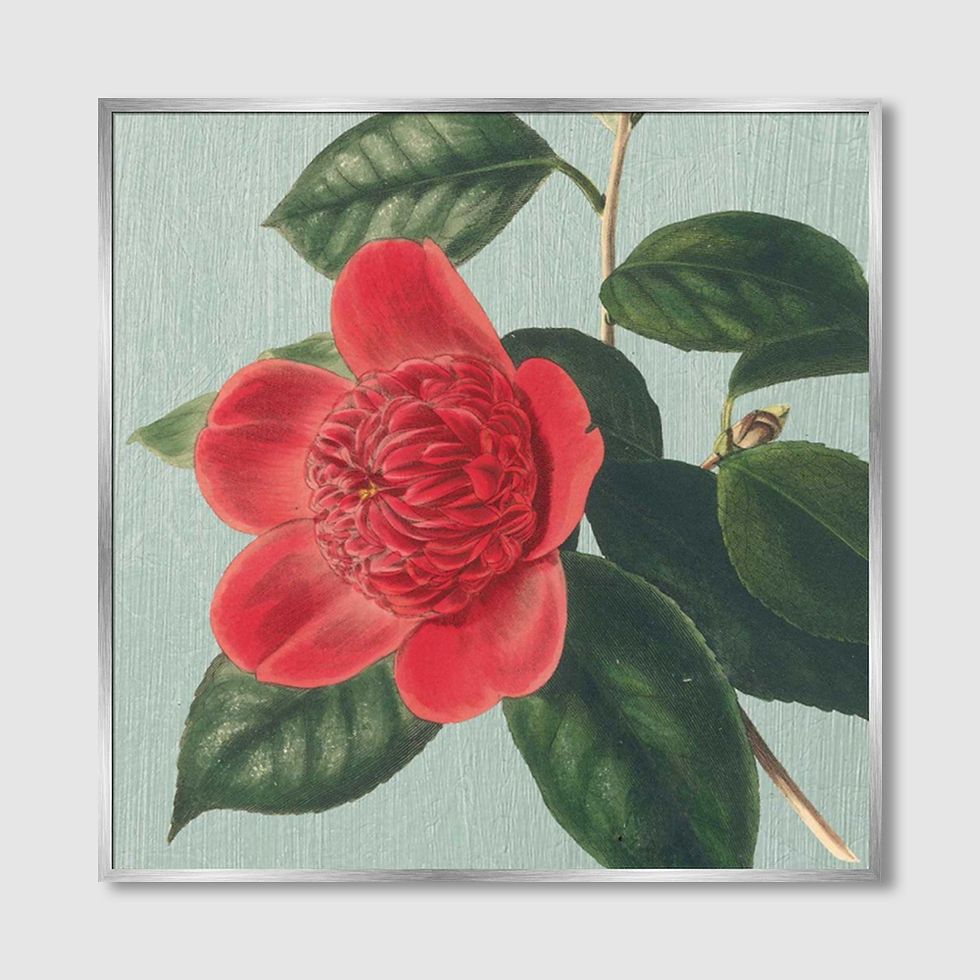 ภาพขนาดย่อ: Peony (A)