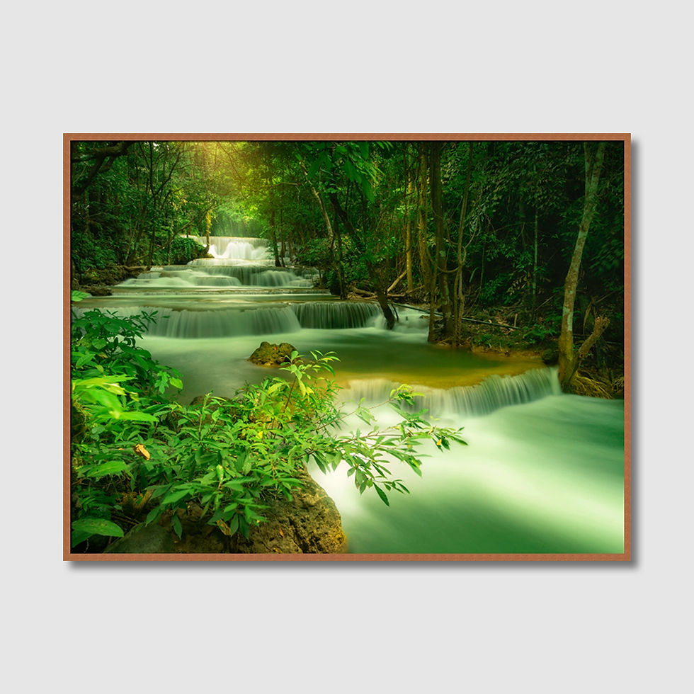 ภาพขนาดย่อ: Beautiful Stream in Green Forest (E)