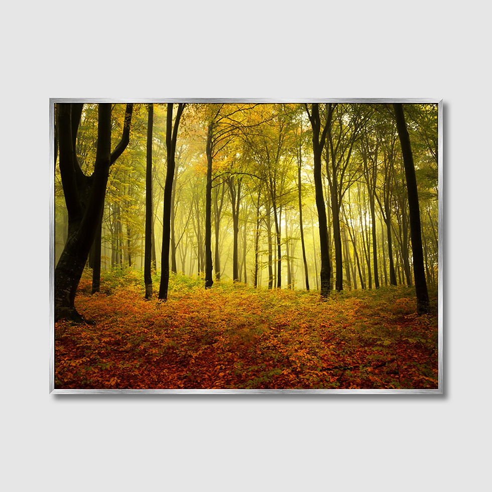 Thumbnail: Autumn Forest (E)