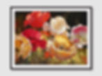 Thumbnail: Poppy Celebration (E)