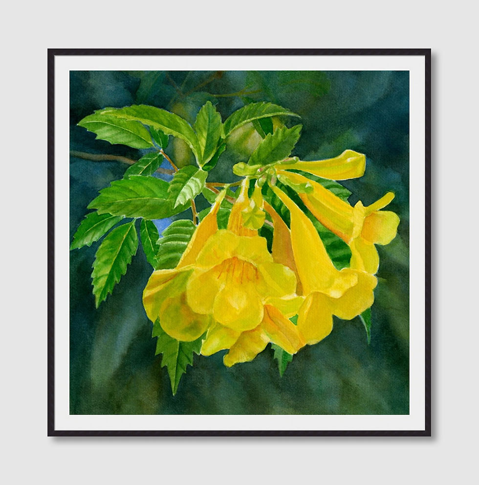 Thumbnail: Beauty of Nature No.114 (A)
