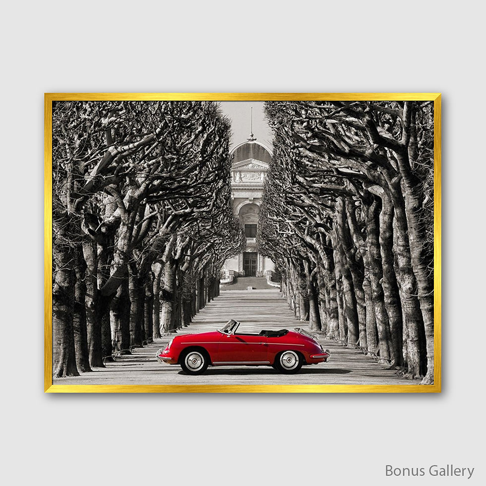 Thumbnail: Roadster in tree lined road, Paris (E)