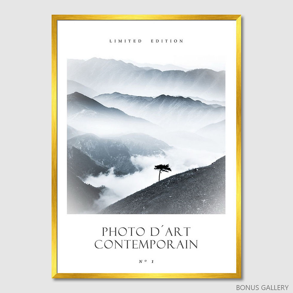 Thumbnail: Photo D'Art No 1 (E)