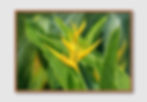 ภาพขนาดย่อ: Beauty of Nature No. 120 (D)