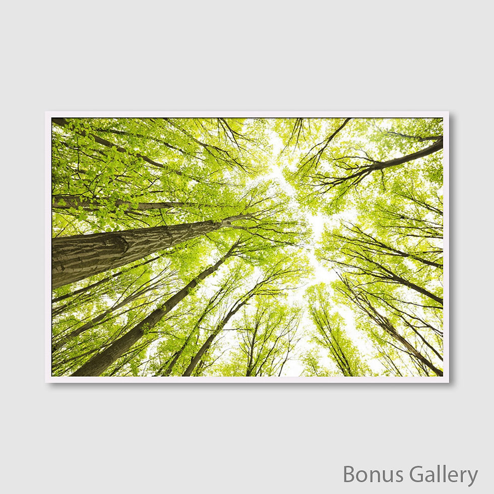 ภาพขนาดย่อ: Green Tree Top (D)