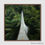 Thumbnail: SUSPENDED BRIDGE IN THE FOREST (A)