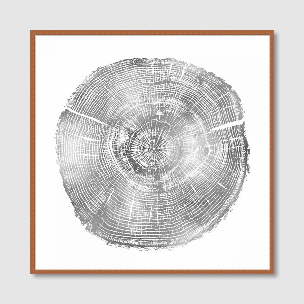 Thumbnail: Timber Silver IV (A)