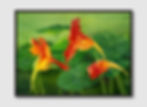 ภาพขนาดย่อ: Beauty of Nature No. 154 (E)