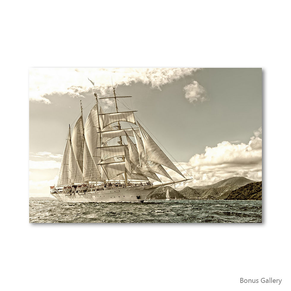 ภาพขนาดย่อ: Sailing Golden Barque in Luxury style(D) S1705149046_W
