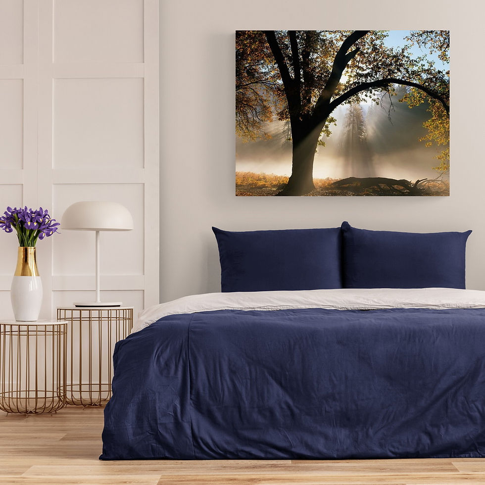 Thumbnail: Sunrays Through the Fog (E)